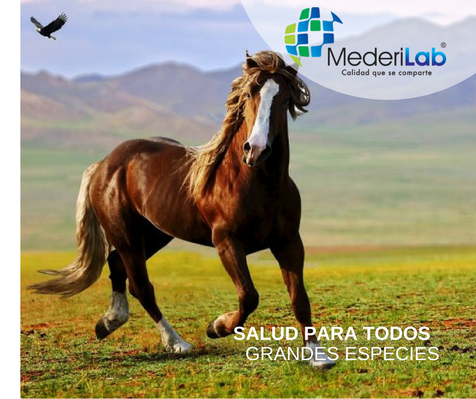 MederiLabMX's tweet photo. @MederiLabMX  es para todos https://t.co/QIQQHS8G34
