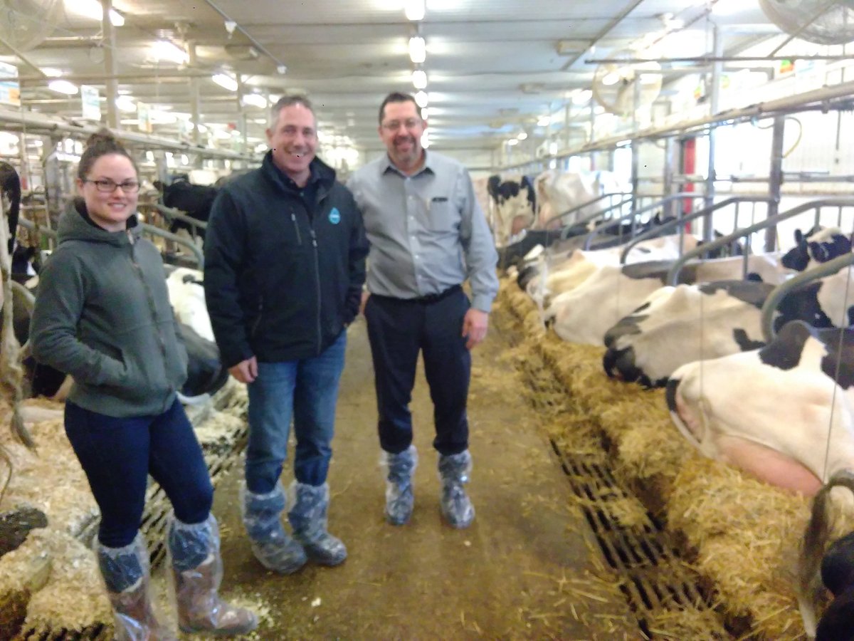 Belle visite de notre dernière expé par <a href="/SteveAdam4/">Steve Adam, agr.</a> <a href="/Valacta/">Valacta</a> <a href="/DanielMLefebvre/">Daniel Lefebvre</a> : nos experts le disent, nos vaches sur 3'' de litière sont confortable. Résultats dans 14 semaines.