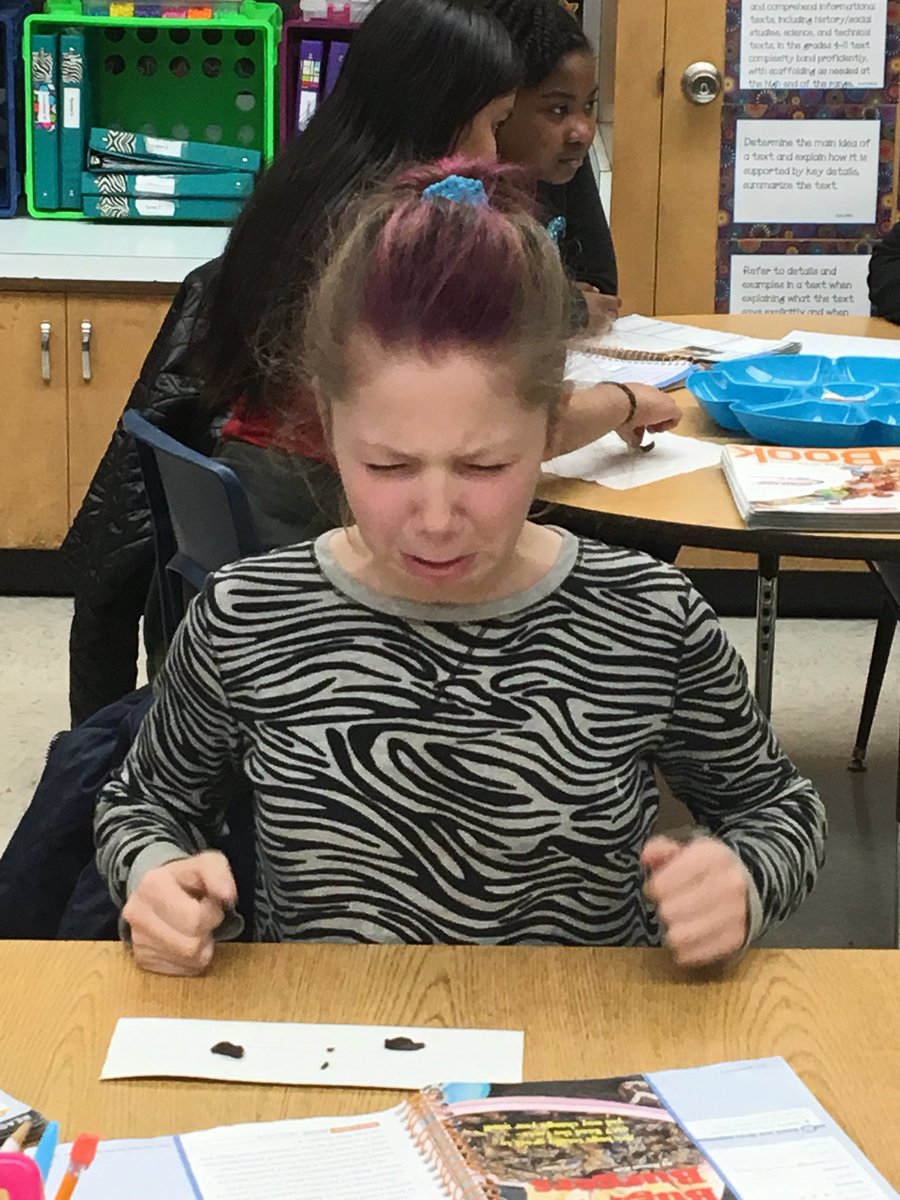 Fun day in the READ 180 lab! Did you know that 80% of the world eat bugs? We decided to join them today. Mixed reviews... <a href="/CCSDREAD180/">Kaci Berry</a> #BSISTEM  #bsieaglepride