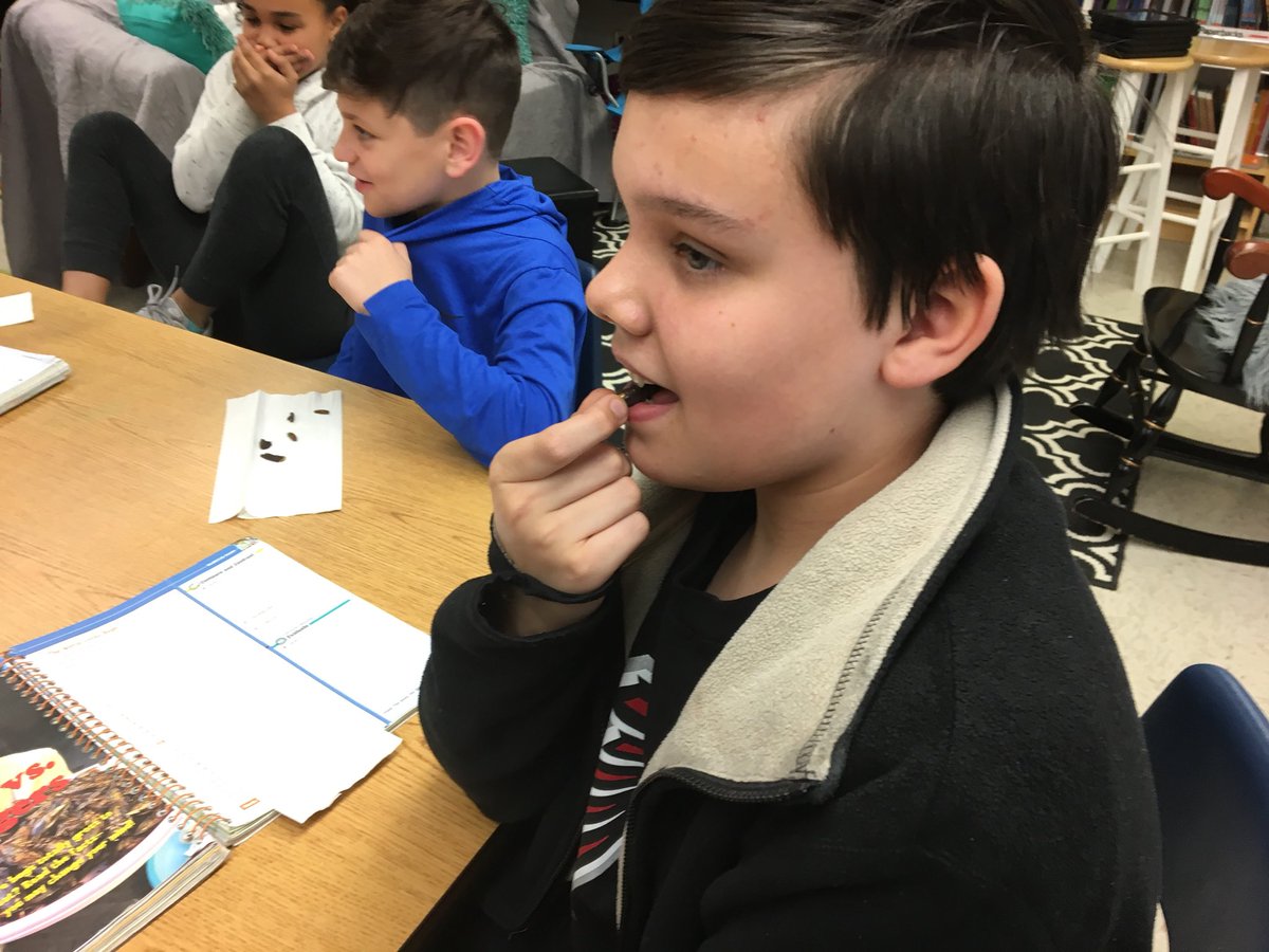 sdwelle2002's tweet photo. Fun day in the READ 180 lab! Did you know that 80% of the world eat bugs? We decided to join them today. Mixed reviews... @CCSDREAD180 #BSISTEM  #bsieaglepride https://t.co/MXUgEvSnp6
