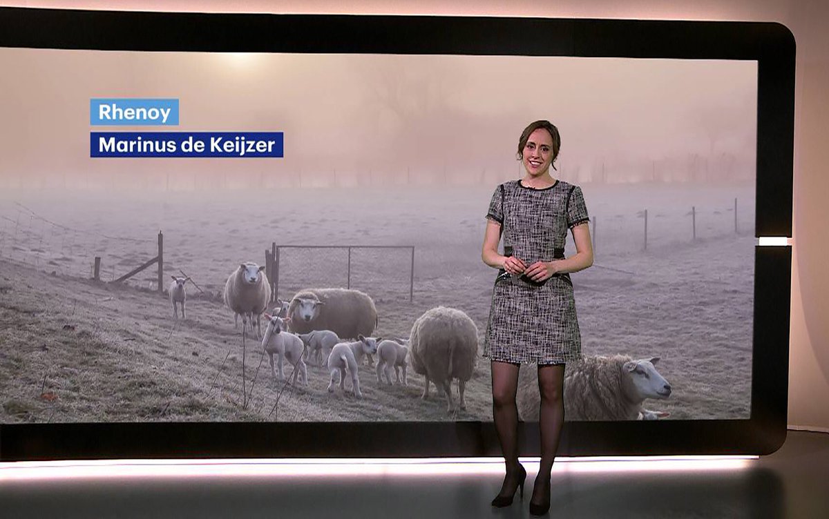 Goede geshopt Hilde <a href="/stijlfabrique/">Stijlfabrique</a> dit tweed jurkje van <a href="/KarenMillen/">Karen Millen</a> ! Moeten we vaker doen 😉