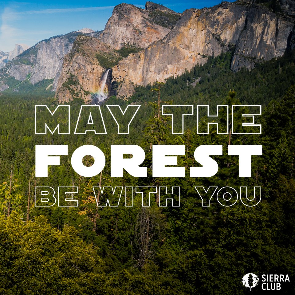 SierraClubCO's tweet photo. It's #InternationalDayOfForests! What are some of your favorite forest areas to explore? @NatlParkService

#WednesdayMotivation #OptOutside https://t.co/xAXMPCMckI