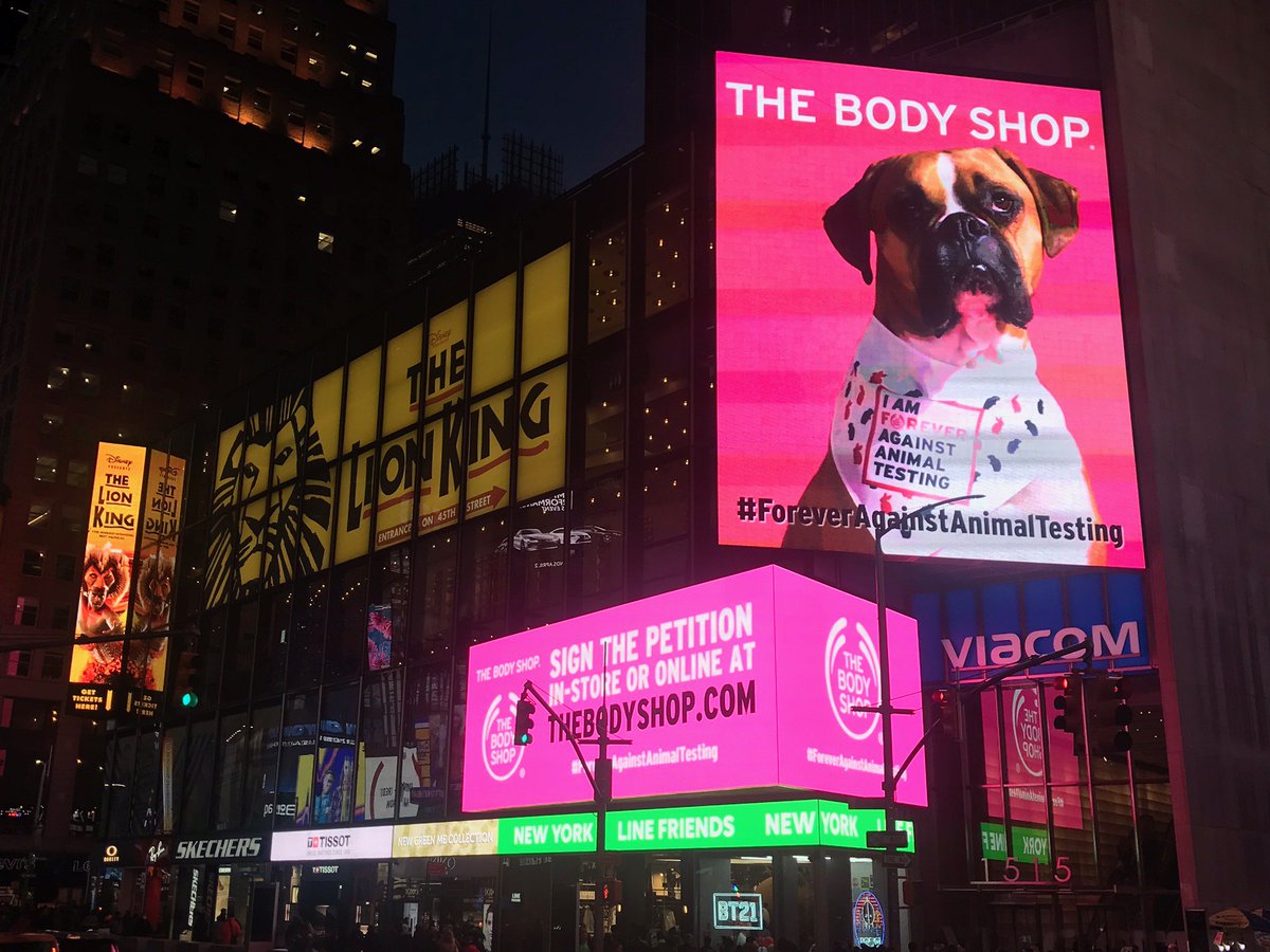 jillianharris's tweet photo. In New York,
Concrete jungle where dreams are made of
There's nothin' you can't do
Now you're in New York
These streets will make you feel brand new
Big lights will inspire you
Let's hear it for Nacho fighting against animal testing alongside @TheBodyShop in New York, New York! https://t.co/oqyqjT5UW0