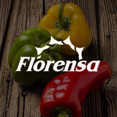 Florensa Argentina tweet media