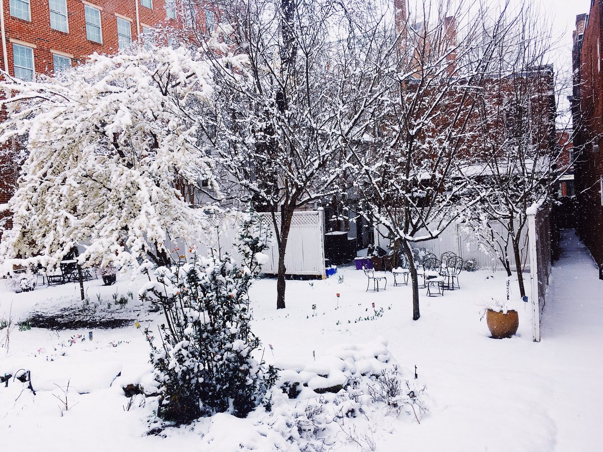 Wishing a very happy spring 🤔 from the Eve family! We’re open today, join us for lunch Lickity Split &amp; snow day special ‘Dios Rios’ Amano hot chocolate! ☃️ #nourishthepalate <a href="/AlexandriaVA/">Visit Alexandria VA</a>