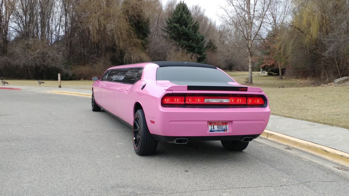 showcaselimo's tweet photo. Showcase Limousine #pinklimo #quinceanera #bacheloretteparty #sweet16 #nightoutonthetown https://t.co/wVLnluBTU0