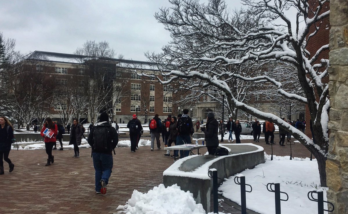 UDStudentAdv's tweet image. Hope everyone stayed out of trouble this weekend! If not...

...UDSA will be hosting table hours outside of KU tomorrow from 11:00am - 1:00pm!

Come on over between classes to ask about what we do and how we can help☘️