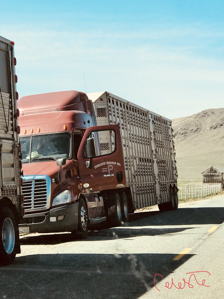 ClarkCompanyRRE's tweet image. 90 day extension on Electronic Log Devices for Ag#trucking #electronicloggingdevice #agriculture #agdaily

westernfarmpress.com/regulatory/agr…