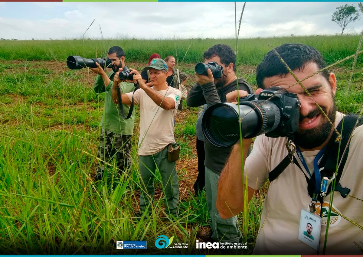 rj_inea's tweet photo. 🐦📷 Confira os registros da última edição do nosso #VemPassarinhar. O evento aconteceu na Estação Ecológica Estadual de Guaxindiba, administrada pelo Inea, onde foram registradas 117 espécies de aves, sendo quatro inéditas na UC #AmbienteRJ #EEEG https://t.co/KZCY5dMVSs
