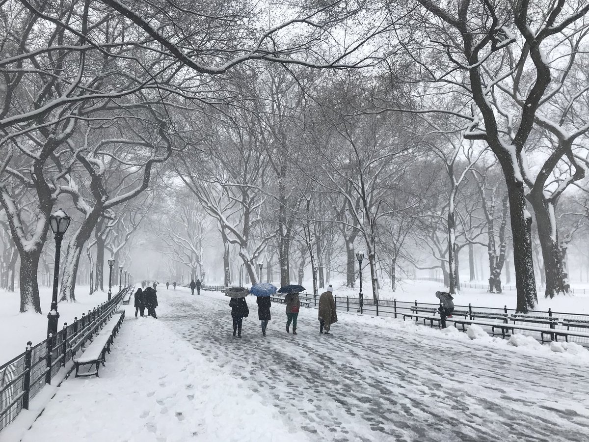 Spring in Central Park.