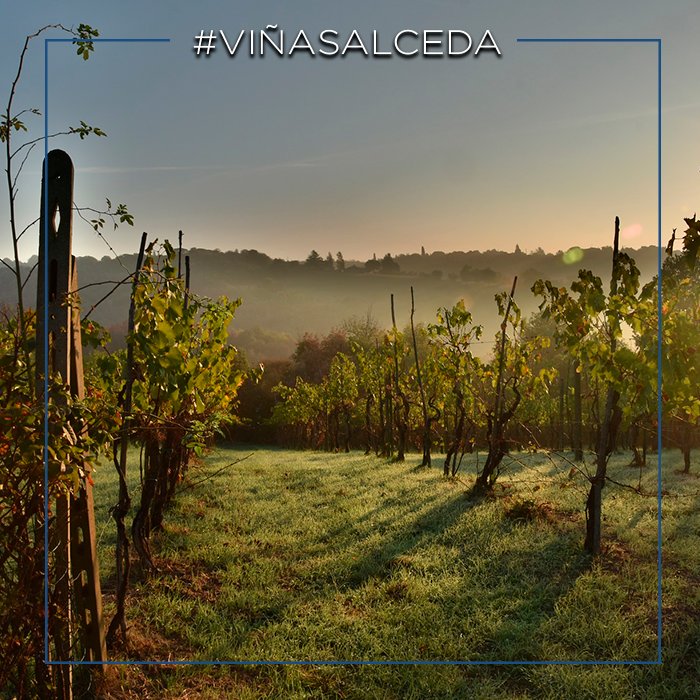 Un #ViñaSalceda es mucho más que aroma, es ese momento único que se crea al descorcharlo. #vino #enoturismo #vinotinto #bodega #vinotime #wine #winelover #winetasting #winetime #winery #ilovewine #winelife #vineyard #riojaalavesa #salceda #compartesalceda