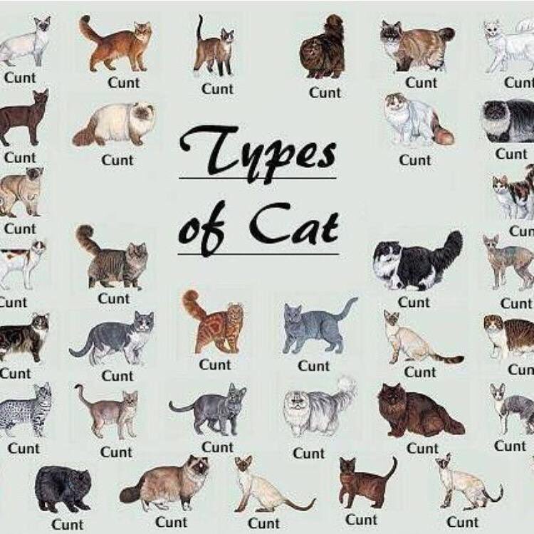 AdmirabIe's tweet photo. Accurate🧐 https://t.co/f56jKribtn