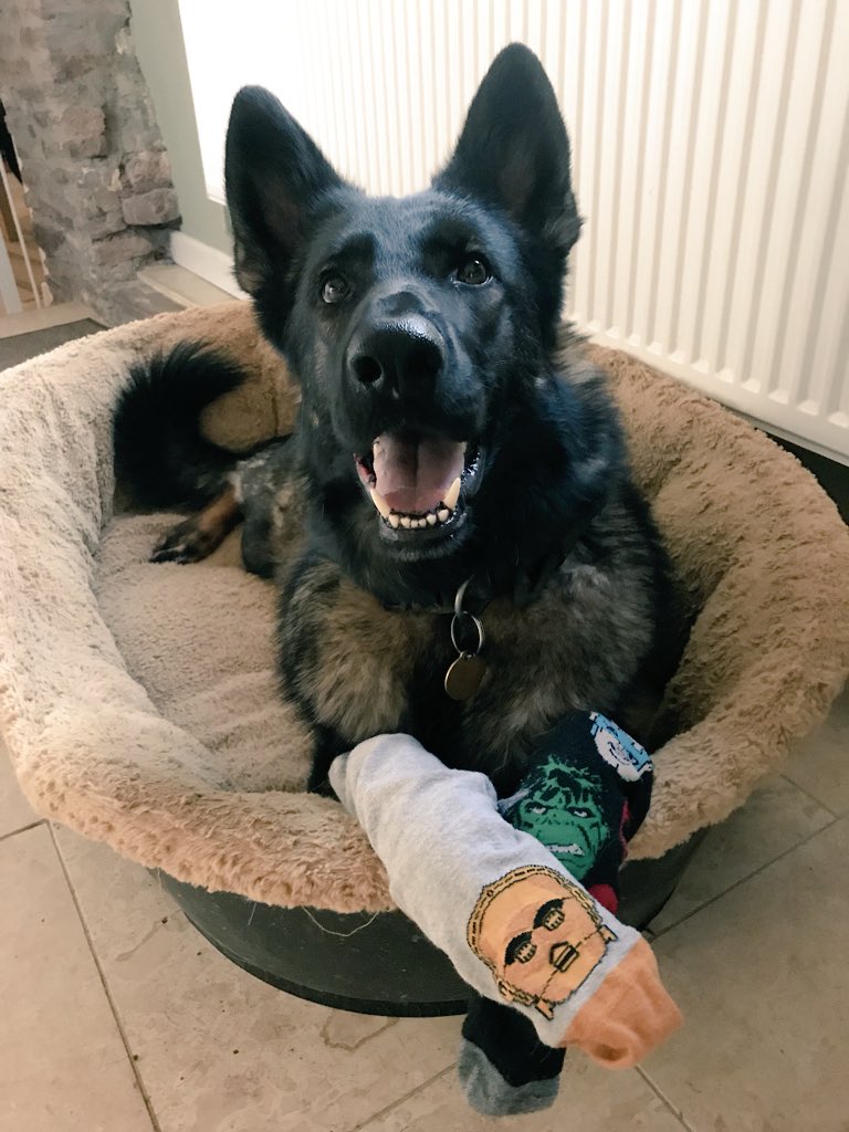 Mum has just got home from work & I’ve put Dad’s socks on in support of #WorldDownsSyndromeDay 🐾🐾