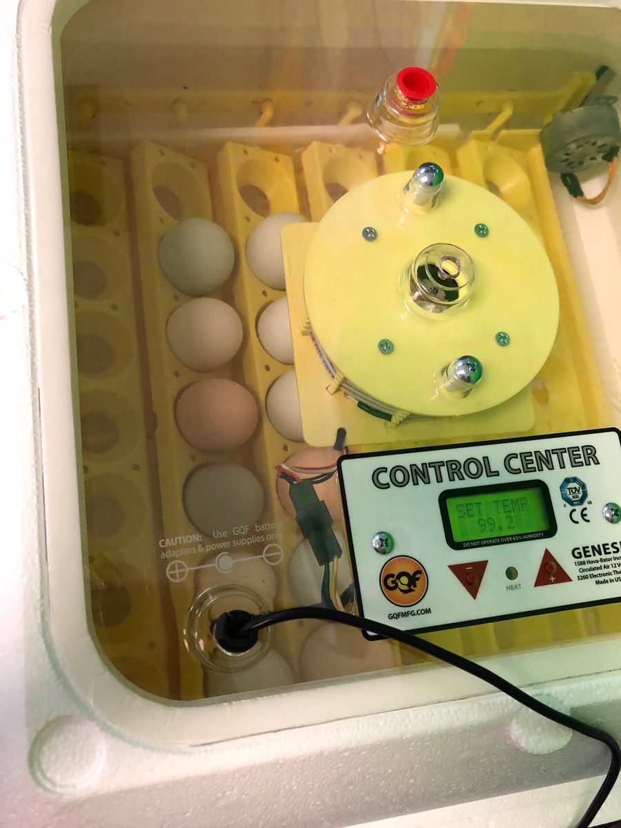 It’s my favorite project of the year. Thank you Tx AgriLife Extension Service! <a href="/TobiasExplorers/">Tobias Elementary</a> @TxAgriLifeHaysCounty