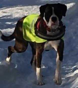 millypod1's tweet photo. RONA HOME SAFE. THANKS FOR RT's ππ
#FindRona
The Fairburn Estate nr #Aultgowrie on the road which leads to the Orrin Dam Track.
Urray Muir of Ord Ross-shire #ScottishHighlands #Scotland #IV6
HELP NEEDED.
#IV14
https://t.co/IU31uLnAnt https://t.co/PMzbPTBsUq