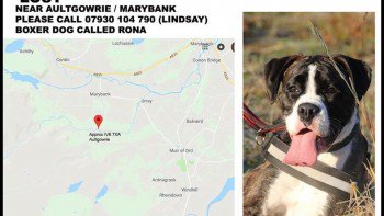 millypod1's tweet photo. RONA HOME SAFE. THANKS FOR RT's ππ
#FindRona
The Fairburn Estate nr #Aultgowrie on the road which leads to the Orrin Dam Track.
Urray Muir of Ord Ross-shire #ScottishHighlands #Scotland #IV6
HELP NEEDED.
#IV14
https://t.co/IU31uLnAnt https://t.co/PMzbPTBsUq
