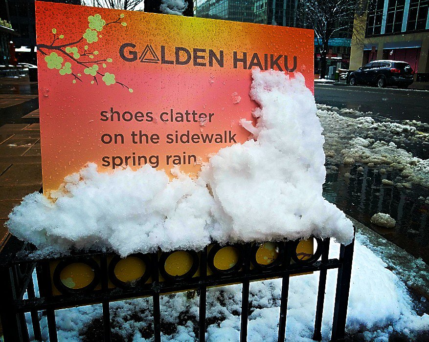 Photog_JohnB's tweet image. #WashingtonDC 
#SecondDayofSpring
#GoldenHaiku