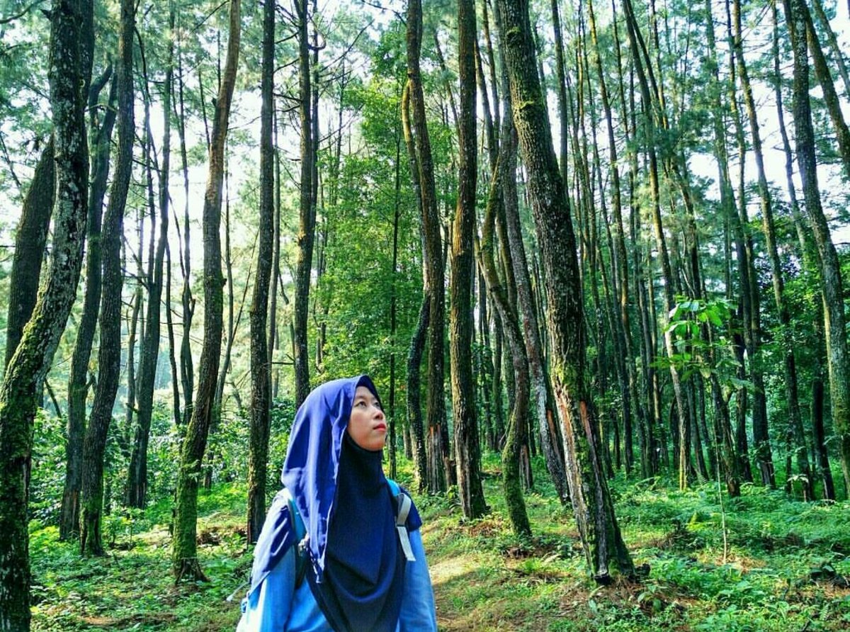 Wina Januarita On Twitter Wisata Alam Di Bogor Arca Wina Januarita On Twitter Wisata Alam Di Bogor Arca