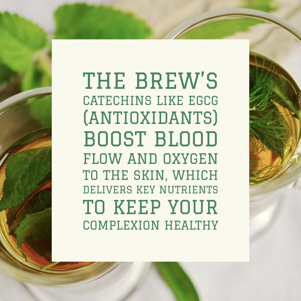 WestAshWellness's tweet photo. Green Tea is known to keep skin more elastic and smooth. https://t.co/KNJ0y0lXAm
