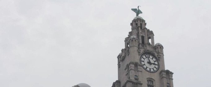 studenthideaway's tweet image. Shrinking Violets studenthideaway.wordpress.com/2018/03/11/shr…