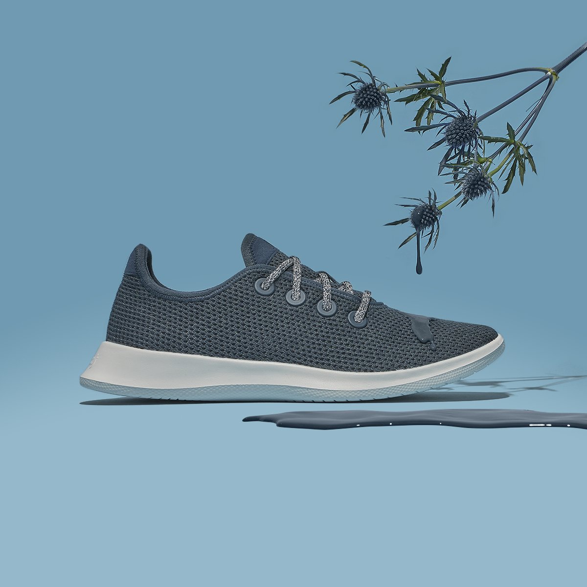 allbirds kauri navy