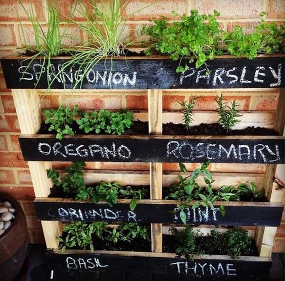 OFStoreOnline's tweet image. How cute is this? It could be perfect when you are teaching kids plants!