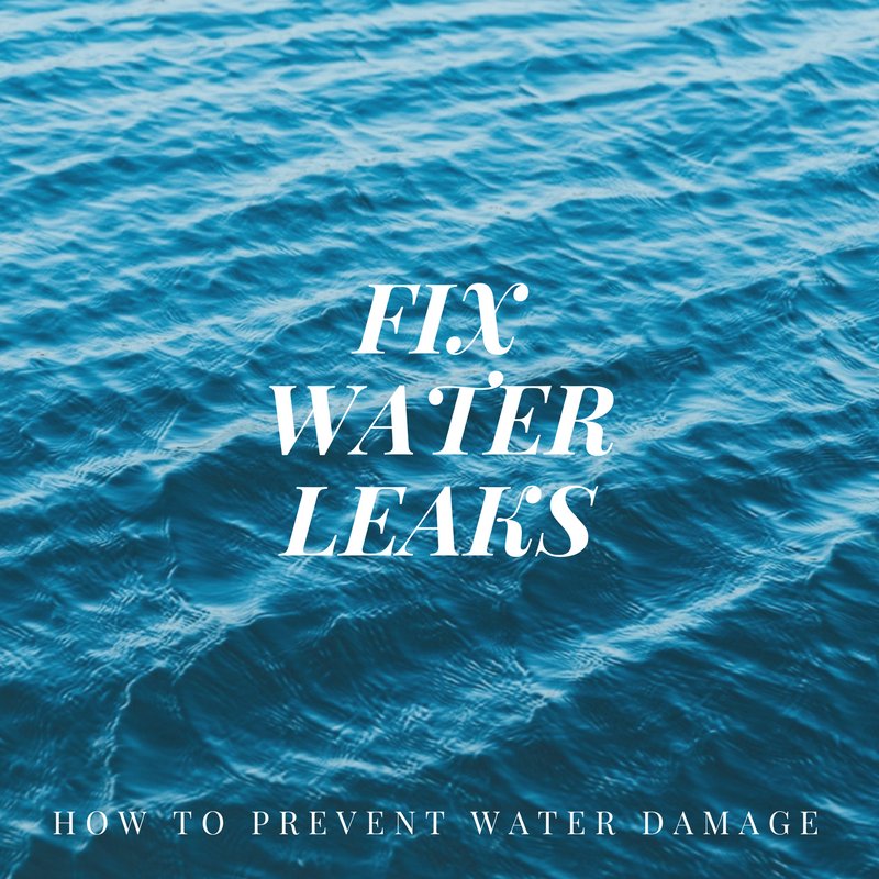 FirstChoiceCR's tweet image. Persistent leaks lead to mold and mildew. Have a leak fixed soon after it starts, and there may be no long-term damage at all.