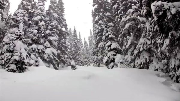 Snow days for me are the least stressful days. I have no one to entertain and I don't have to feel guilty about laying around in my pajamas from the time I wake up until the time I go to bed. post-gradlife.com/2018/03/21/the…