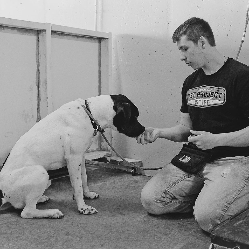 KC Pet Project on Twitter "We are currently hiring for a number of