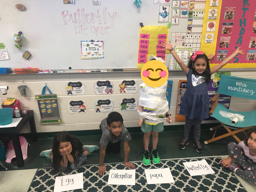 mrsmartinezkids's tweet photo. #superfirsties Acting out the butterfly 🦋 life cycle- our butterfly in the chrysalis couldn’t wait to turn into a butterfly! @NISDMay @MayPrincipal @NISDElemScience #learningthroughactions https://t.co/7l1XEgig0j