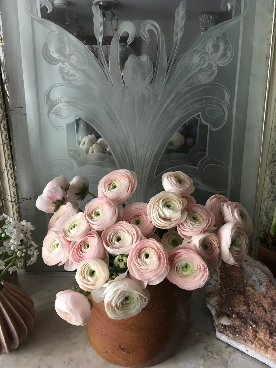 Quince (@quincebrighton) on Twitter photo 