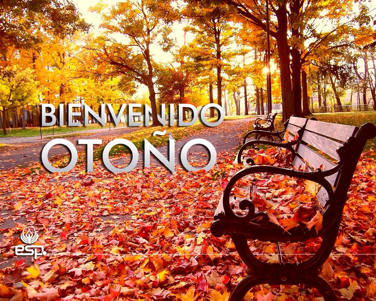 Casa Espadas S.A na Twitteru: "¡Bienvenido #otoño! Disfrutá el encanto de  esta nueva estación con la mejor indumentaria personalizada. Visitá  https://t.co/MXtffDGMUH para conocer todos nuestros productos.…  https://t.co/L5m0z2swrt"