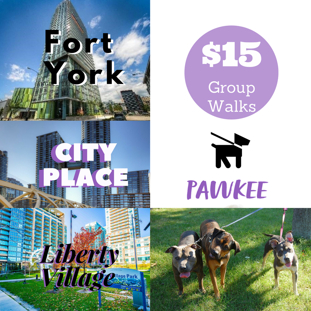 PawkeePets's tweet photo. Need a dog walker in #FortYork #LibertyVillage #CityPlace? PAWKEE is offering group walks for ONLY $15 https://t.co/vzs8XmrOzq