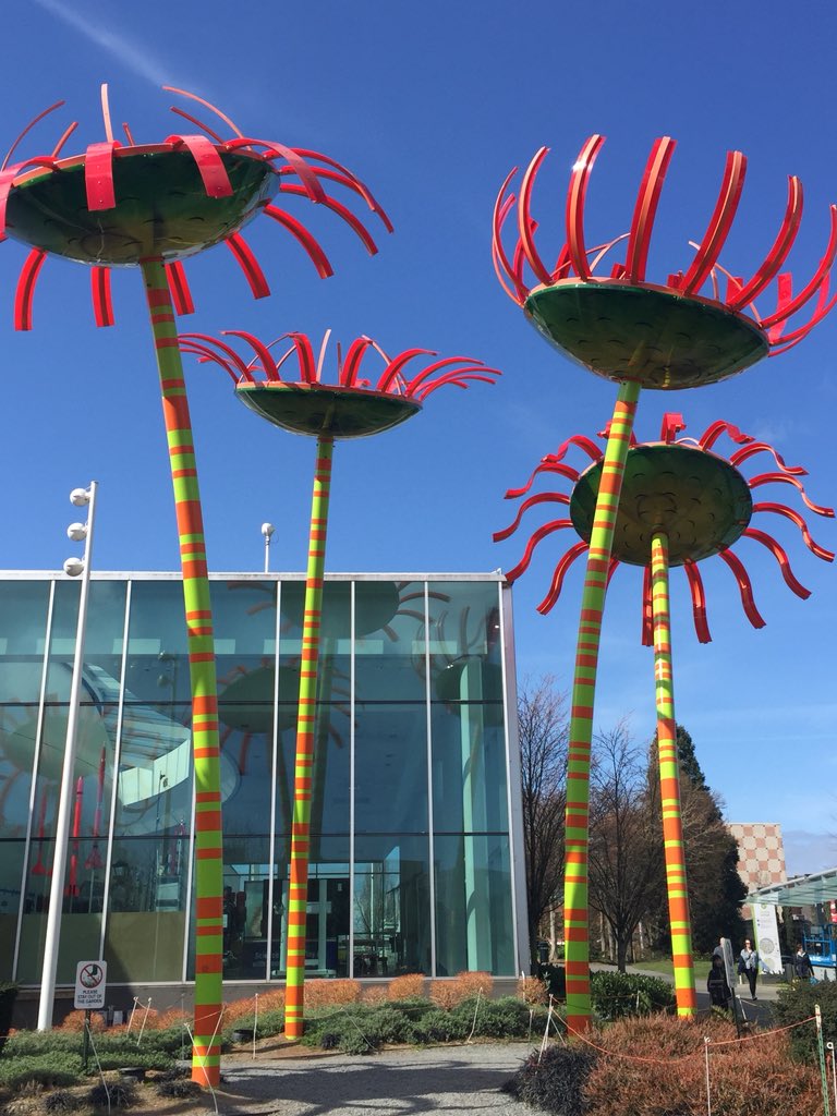 CullotyS's tweet photo. Its still sunny in Seattle and Sharon Lynch @uccBEES @eriucc @uccclimatelab has been presenting our @VivaldiEUProj work, including that of Gary Kett, MSc student on the impacts of UV-B on shellfish health and development of herpes virus infections #shellfish2018 #oysters https://t.co/NhwyUwRyNw