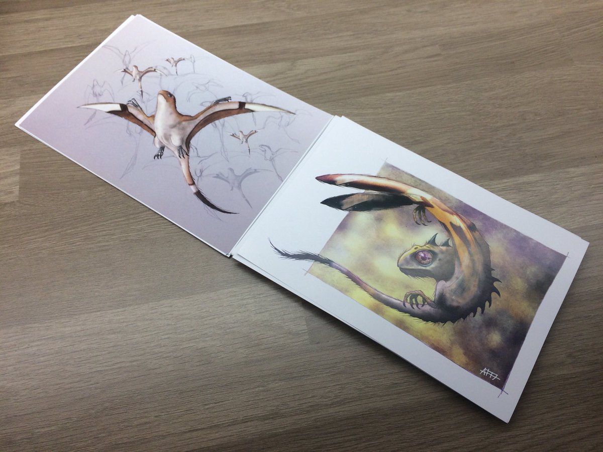 DragonsofWales's tweet image. See? Full of ‘em! 🙂🐉🐉🐉