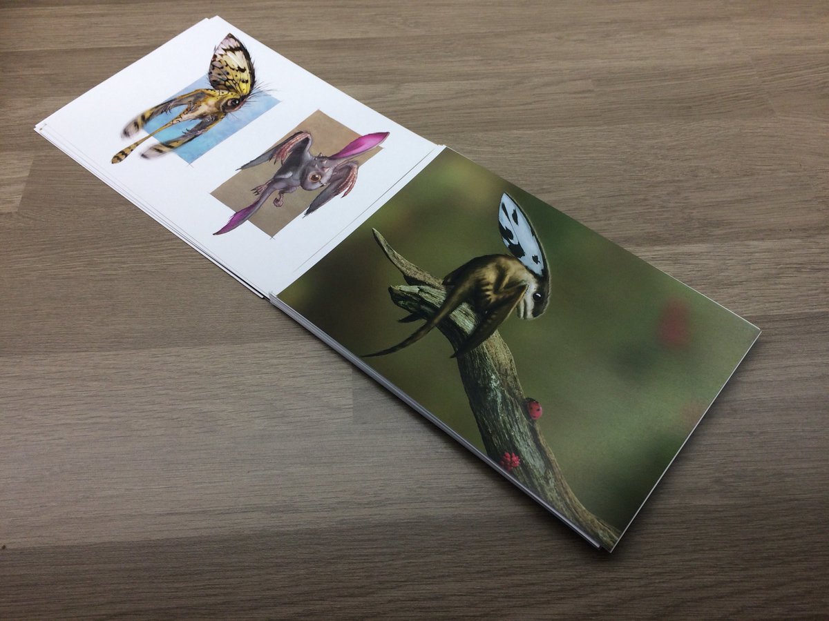 DragonsofWales's tweet image. See? Full of ‘em! 🙂🐉🐉🐉