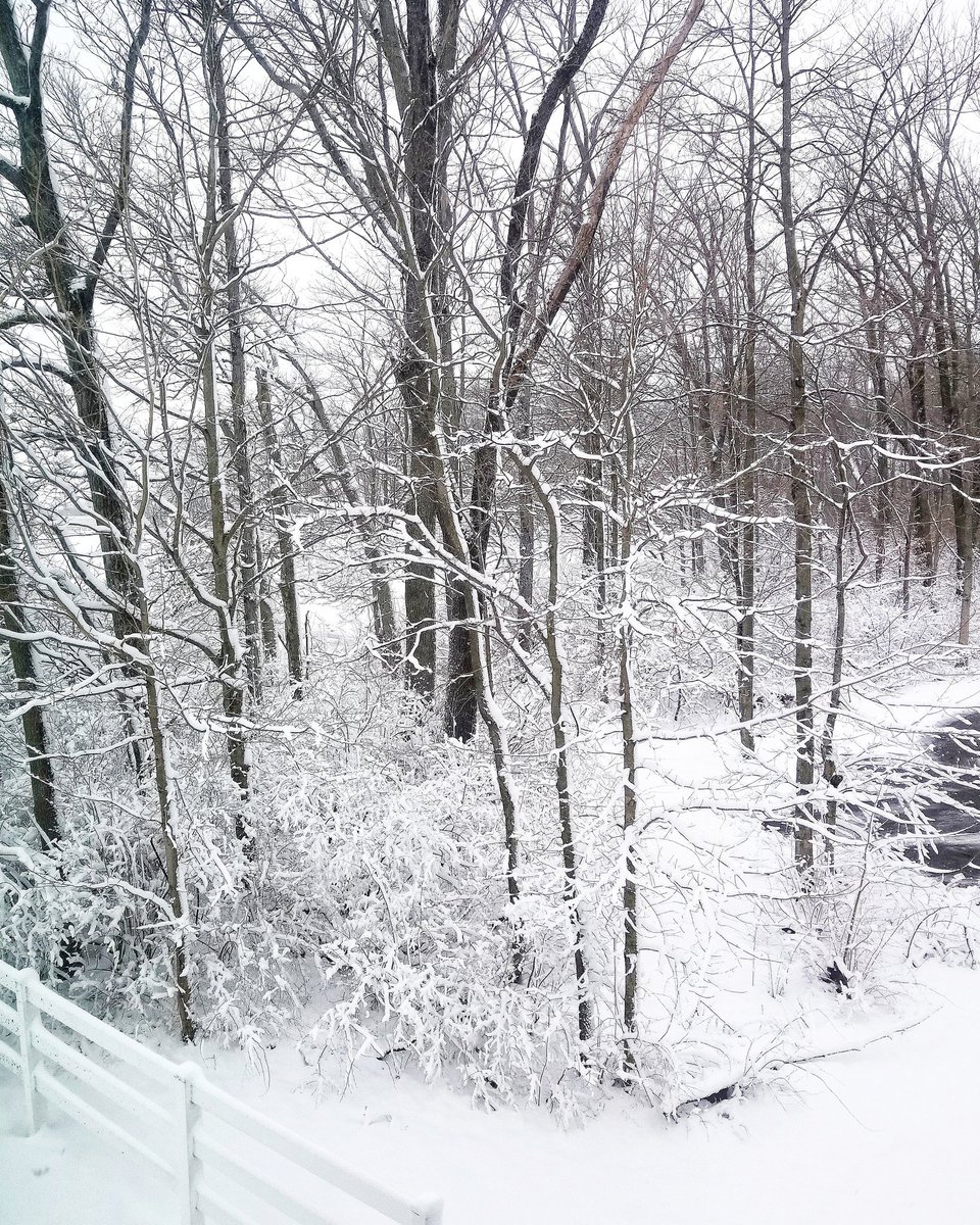 billhodac's tweet image. It's the ✌️ day of spring and it's ice cold in Ohio. #seconddayofspring 🙃