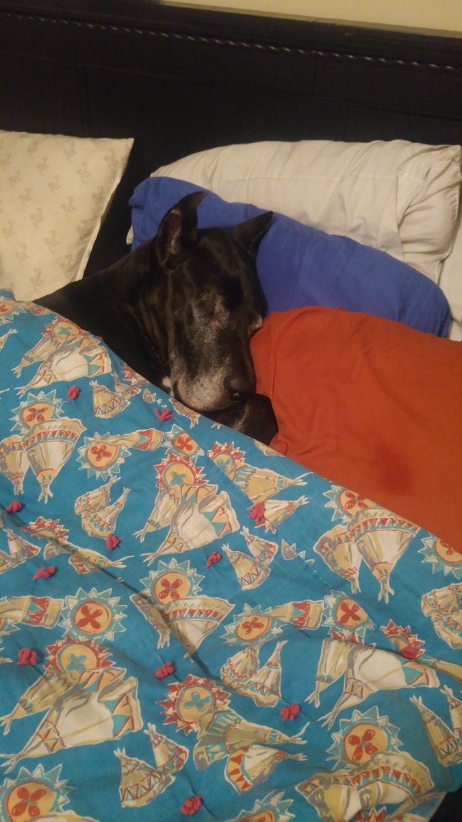 jpeets8's tweet photo. If anyone can help, you have no idea what it means. We have a good start but a ways to go to help my buddy Jace.  https://t.co/B2JKCgtDQb https://t.co/NvYyB33z8J