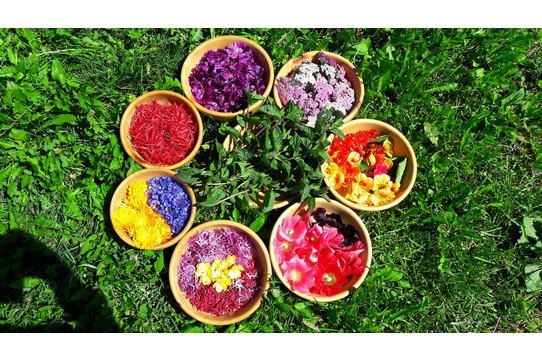 suedtirol_info's tweet photo. 🍃🍀 Wohlfühlen im Südtiroler Frühling mit der Heilkraft der Kräuter: sammeln, kochen, genießen, entgiften und reinigen.🌿🌱 https://t.co/1SnPd4C2Cd https://t.co/26YtAt6Yzt