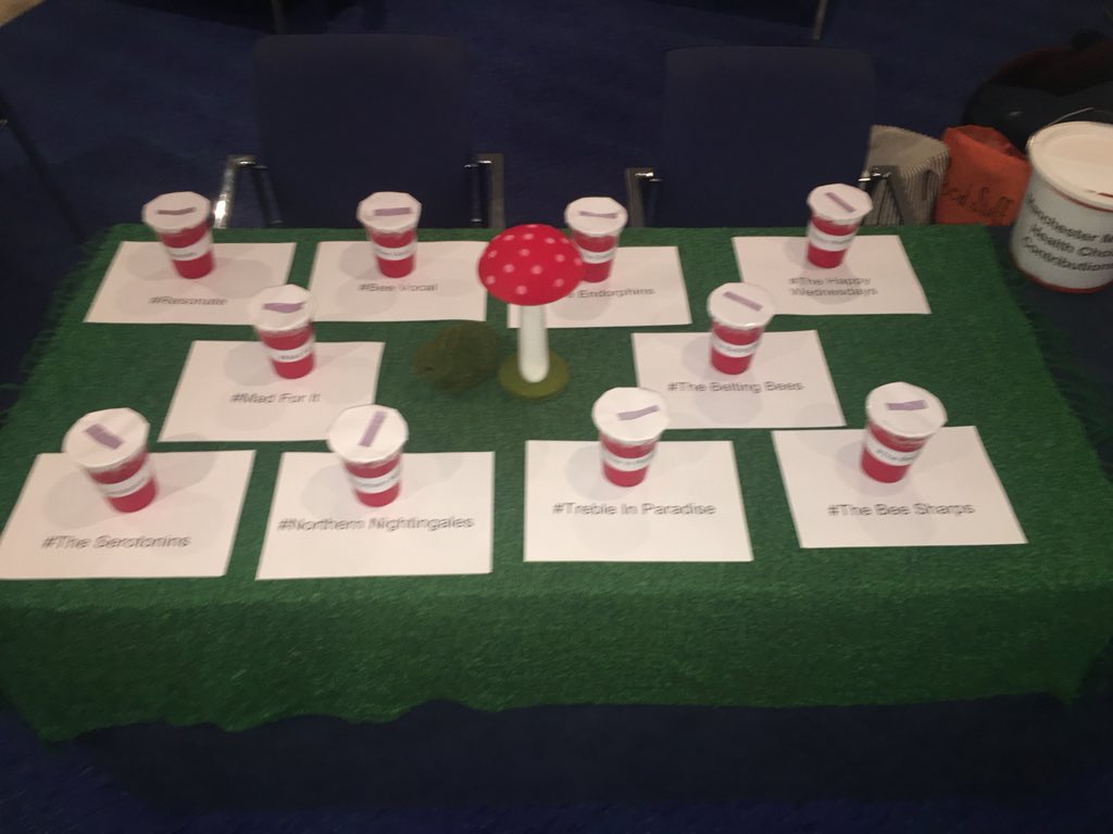 TripleC_UK's tweet image. All set up to vote for the naming of the #themanchestermentalhealthchoir with our lovely #springdisplay