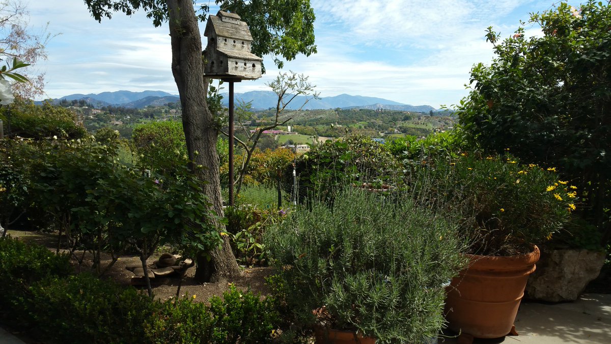 My listing on caravan today. They call it Aire de Provence. #Luxuryrealestate #countryfrench #sandiego #interiordesign #fallbrook #view #palomarmountain