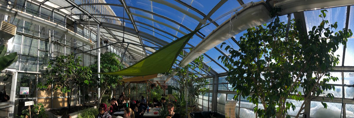 ☀️☀️ Come enjoy the sun at the greenhouse! ☀️☀️