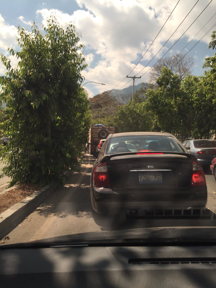 Lili Quant tweet media