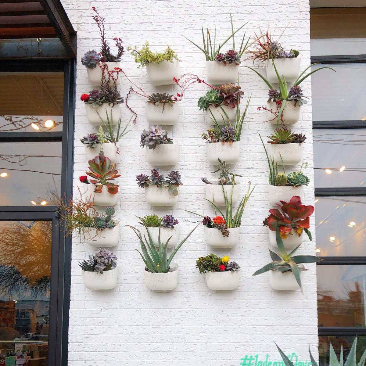 One of our favorite walls! You can take home and make your own wall with WALLYGro planters. Available in-store and online! Link in bio.