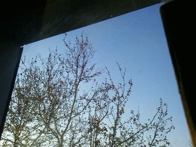 conceptiasis's tweet image. Let's see if I can record the tree long enough to make it look interesting. 30 minutes between shots. ift.tt/2Gcwu7b