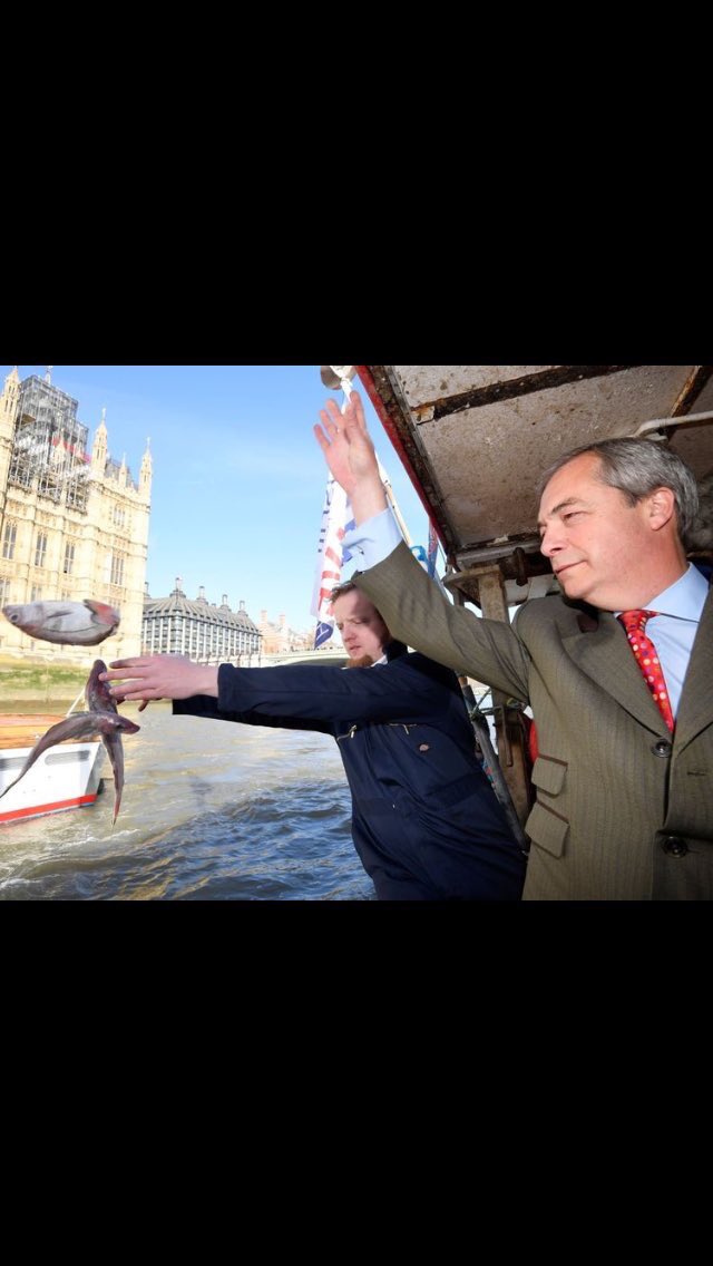 Paul Bain (PaulBain77) Twitter