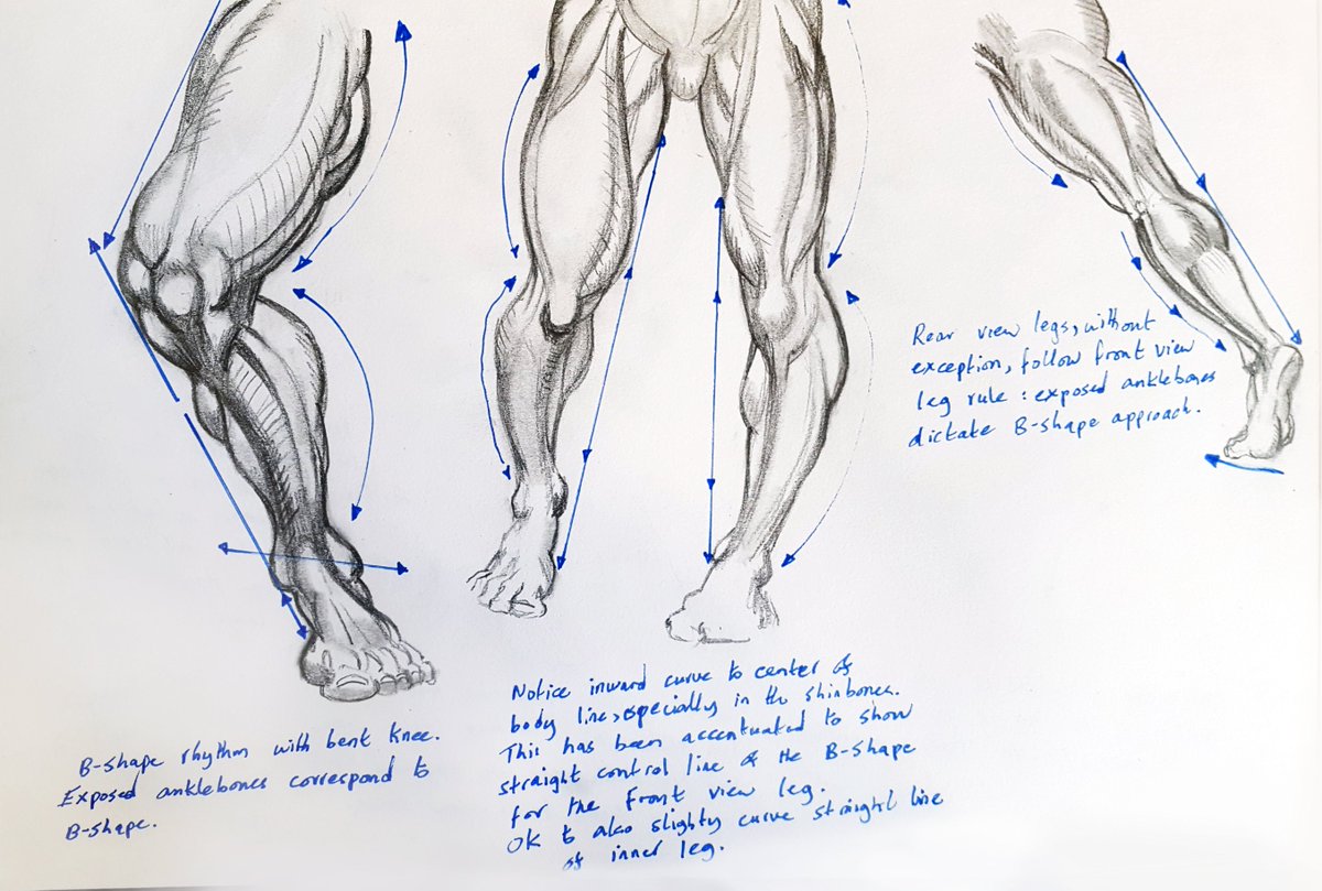 Arb Paninken on Twitter: "Still learning how to pose legs/leg anatomy