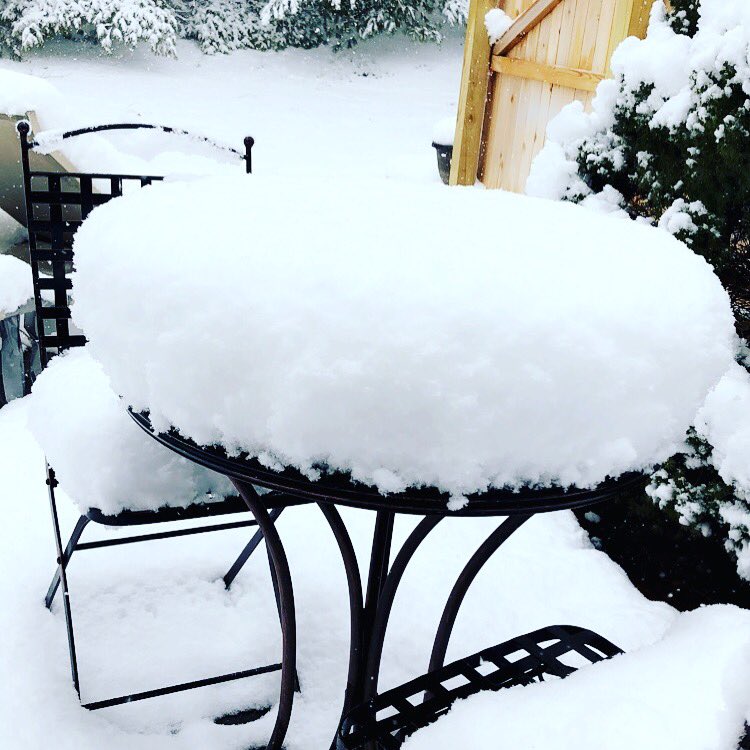 ktorch14's tweet image. Snow or a giant coconut cake? LMK. 🤔 #Noreaster4 #StillSnowing #NotSpringYet