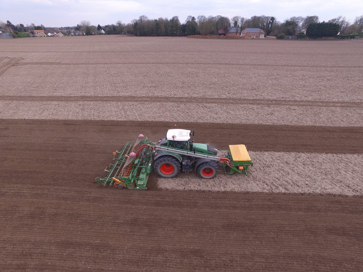 HMC Peas tweet media