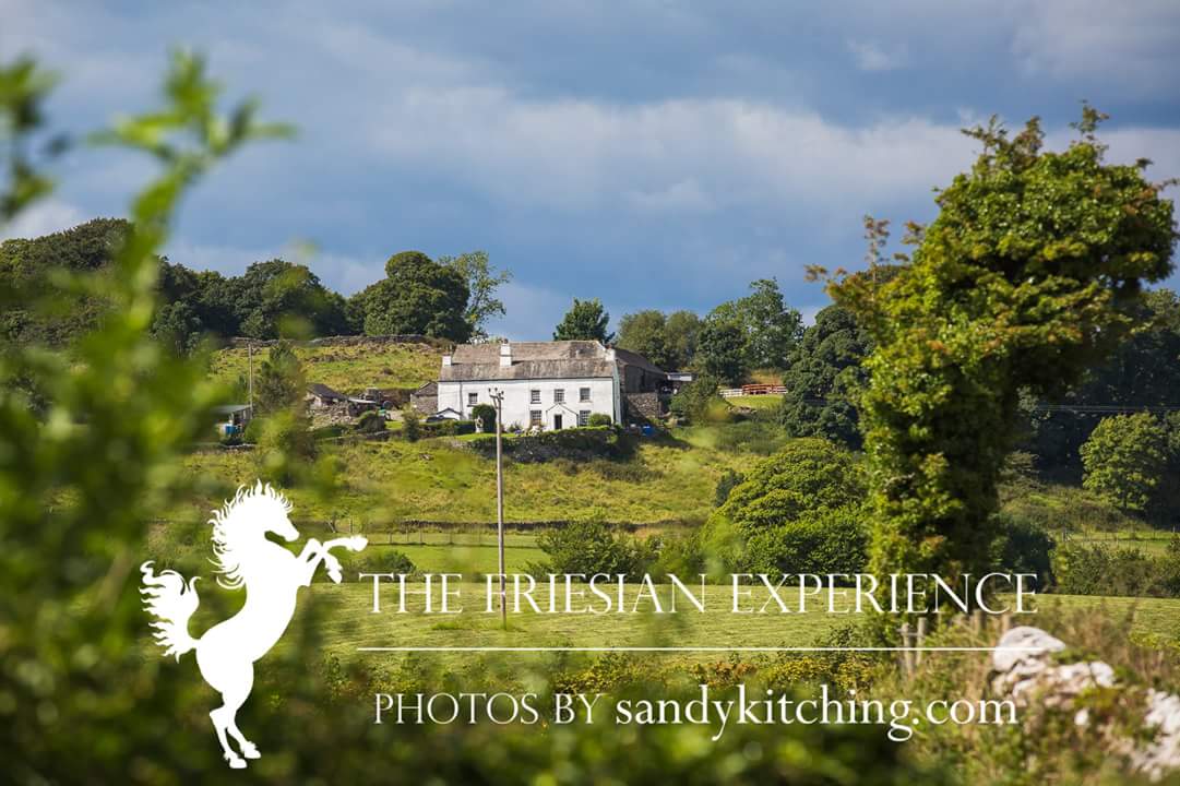 Looking for somewhere in the Lakes to stay with your dog? We are a #dogfriendly #bedandbreakfast in #Cartmel 
#LakeDistrict #woofwoofwednesday